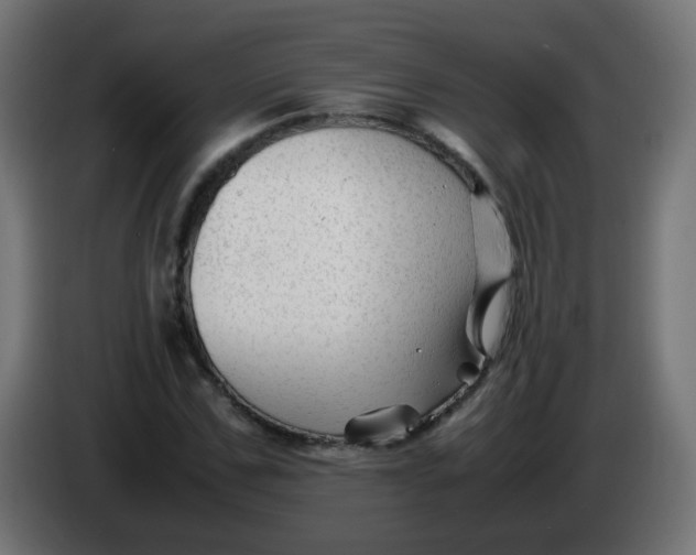 X0000086060971200704132014