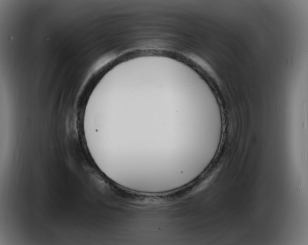 X0000086060974200704132014