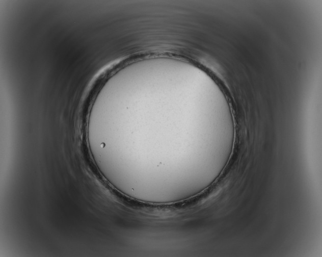 X0000086060979200704132014