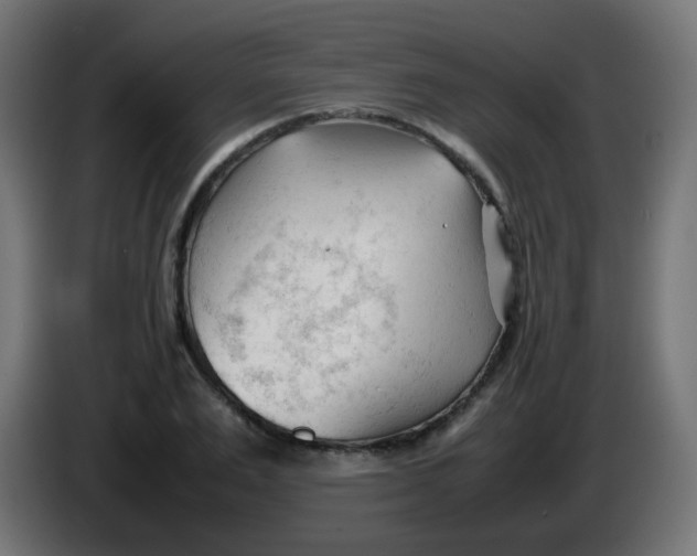 X0000086060983200704132014