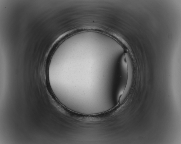 X0000086060984200704132014