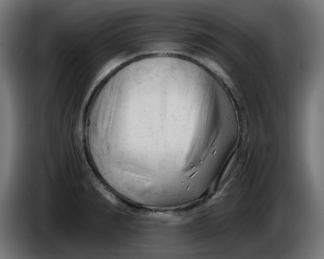 X0000086060990200704132014