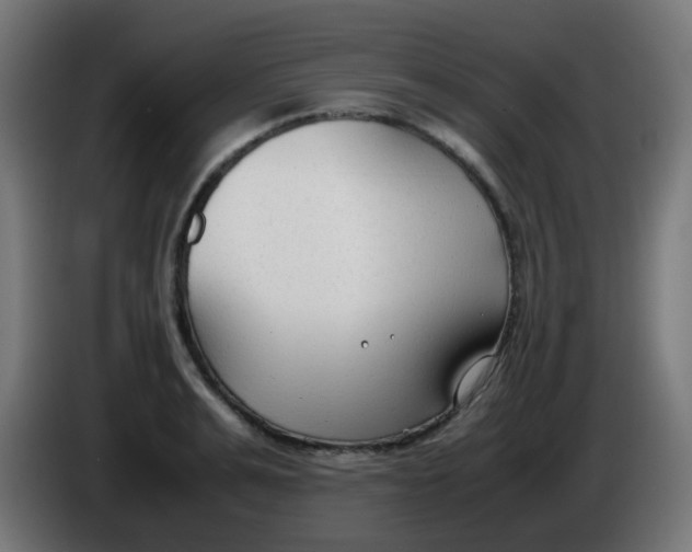 X0000086060991200704132014