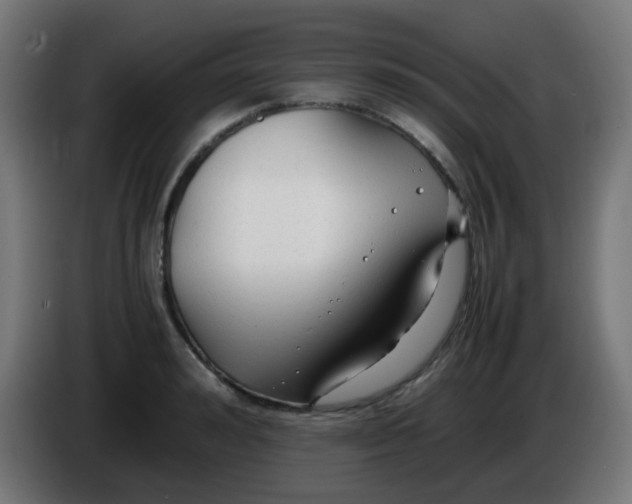 X0000086060992200704132014