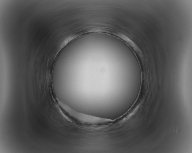 X0000086060993200704132014