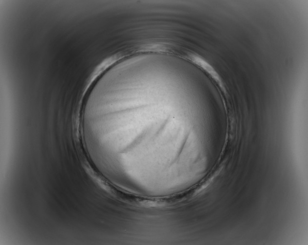 X0000086060994200704132014