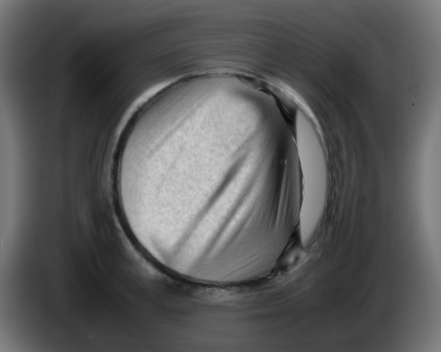 X0000086060995200704132014