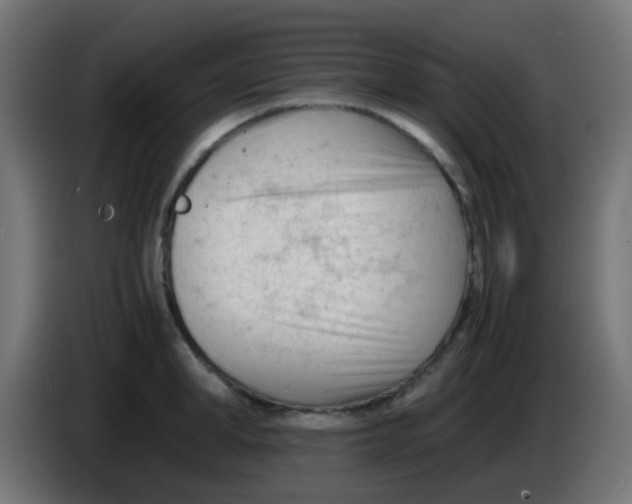 X0000086060998200704132014