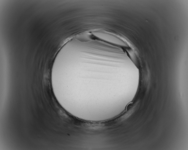 X0000086061001200704132014