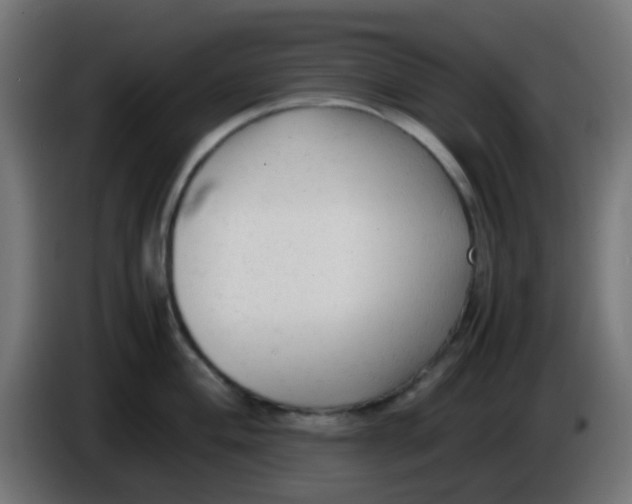 X0000086061004200704132014