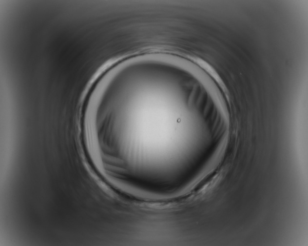 X0000086061005200704132014