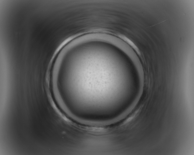 X0000086061007200704132014