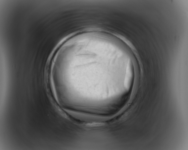 X0000086061008200704132014