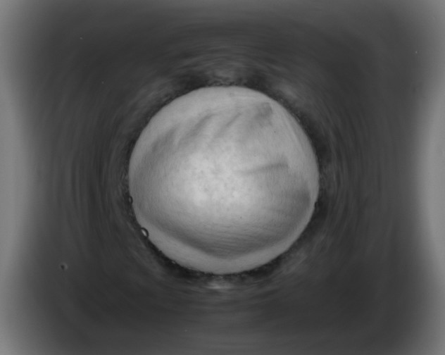 X0000086061009200704132013