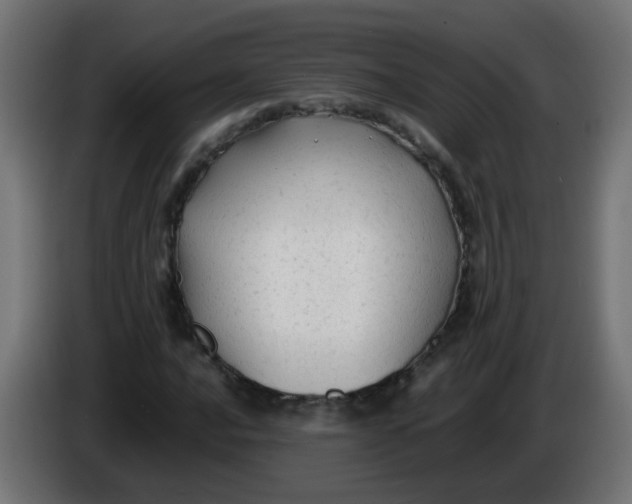 X0000086061016200704132013