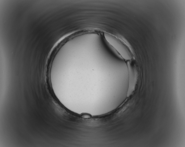 X0000086061020200704132013