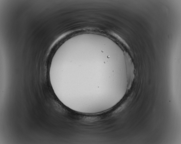 X0000086061021200704132013