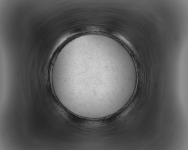 X0000086061023200704132013