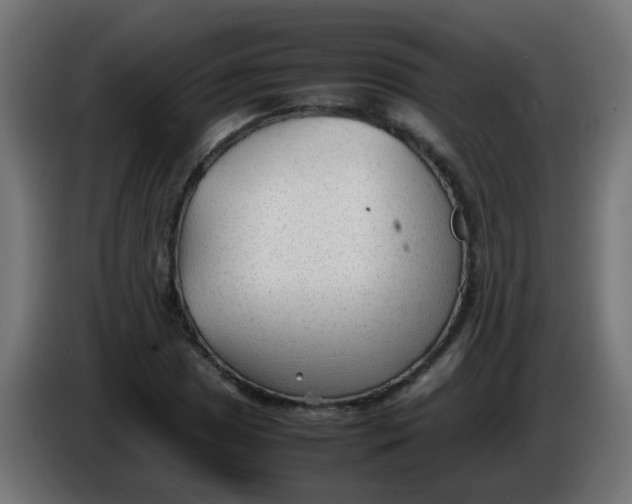 X0000086061025200704132013