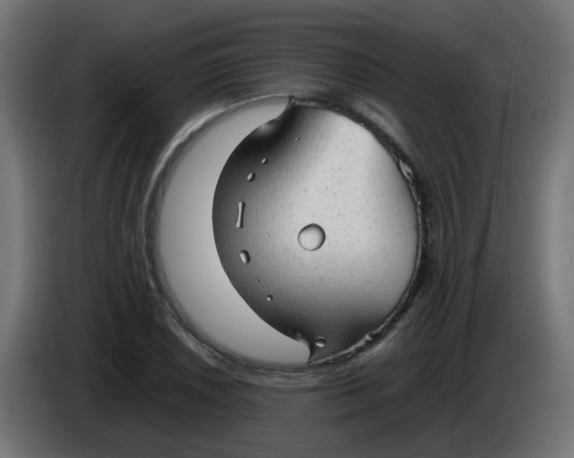 X0000086061026200704132013