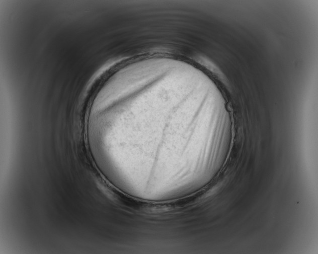 X0000086061027200704132013