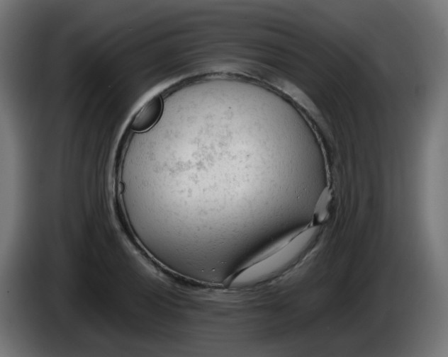 X0000086061028200704132013