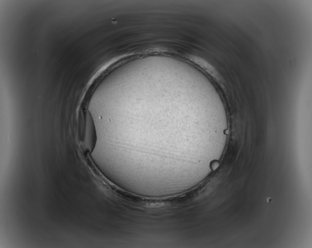 X0000086061031200704132013