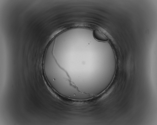 X0000086061033200704132013