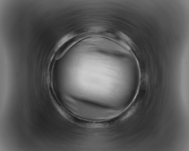 X0000086061034200704132013