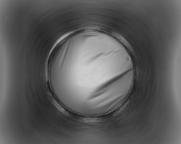 X0000086061036200704132013