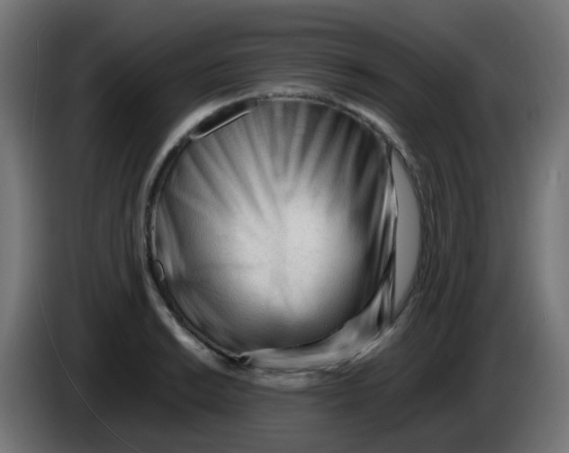 X0000086061038200704132013