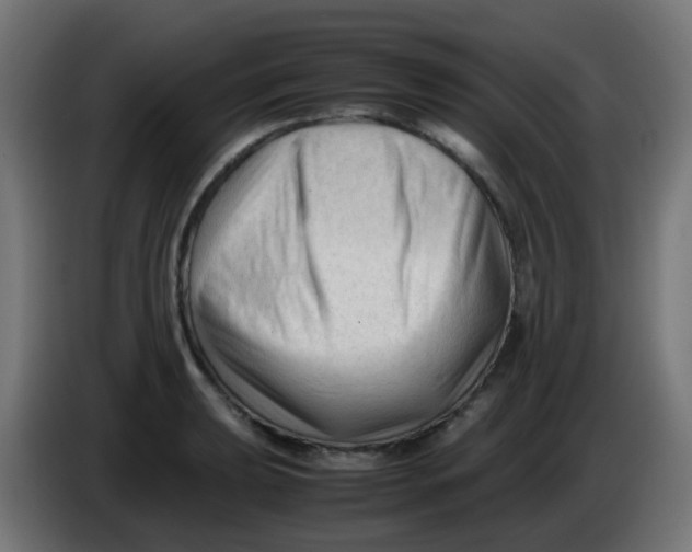 X0000086061039200704132013