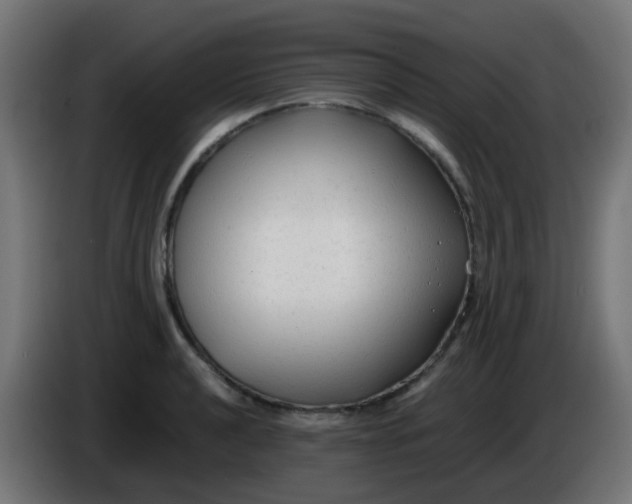 X0000086061040200704132013