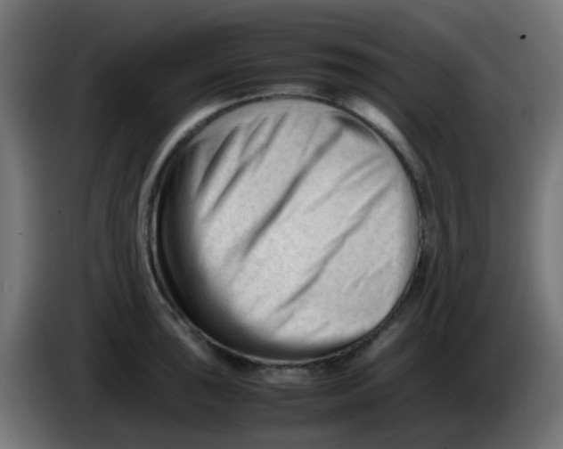 X0000086061043200704132014