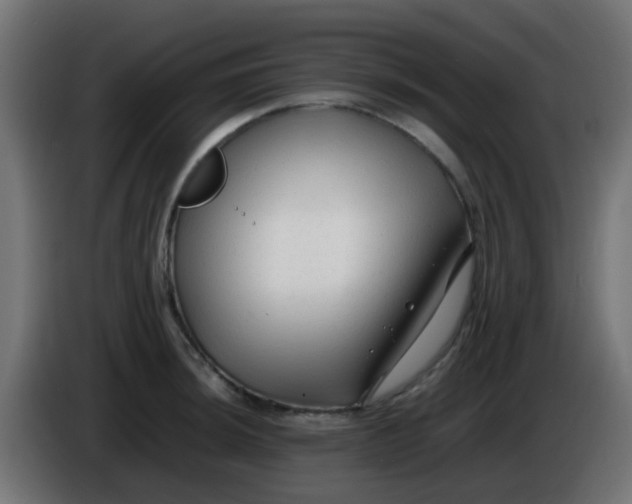 X0000086061044200704132014