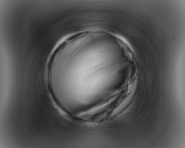 X0000086061046200704132014