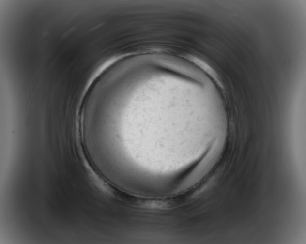 X0000086061047200704132014