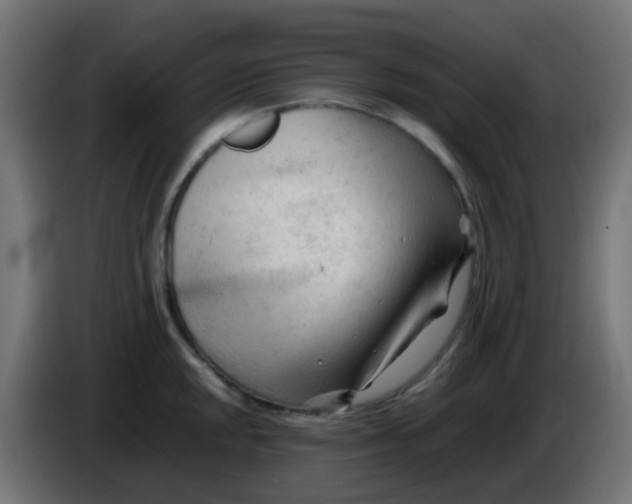 X0000086061048200704132014