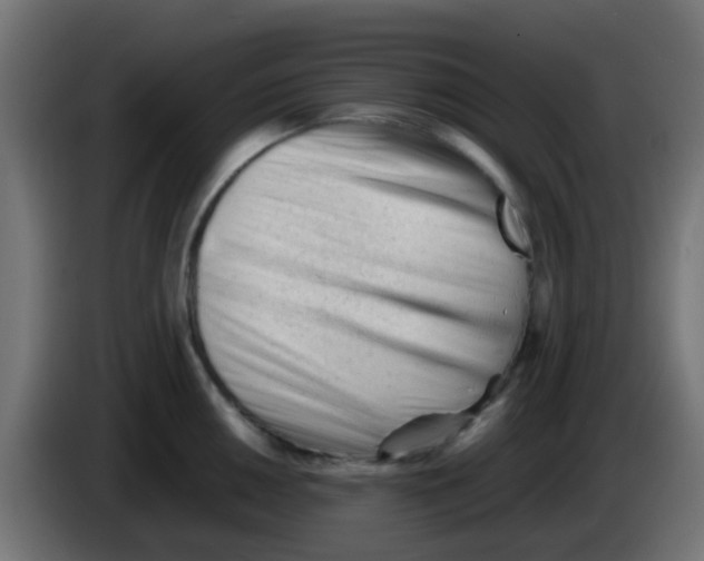 X0000086061050200704132014