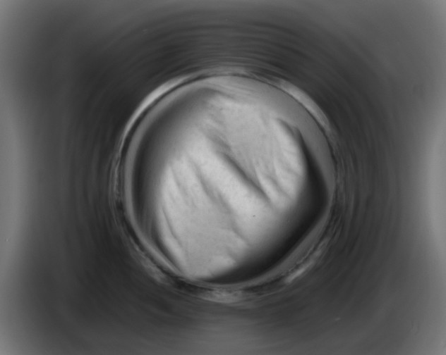 X0000086061052200704132014