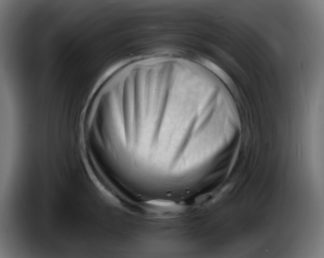 X0000086061055200704132014