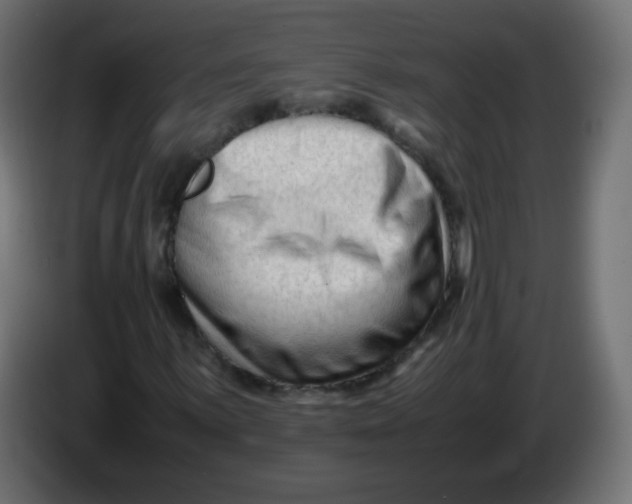 X0000086061059200704132013