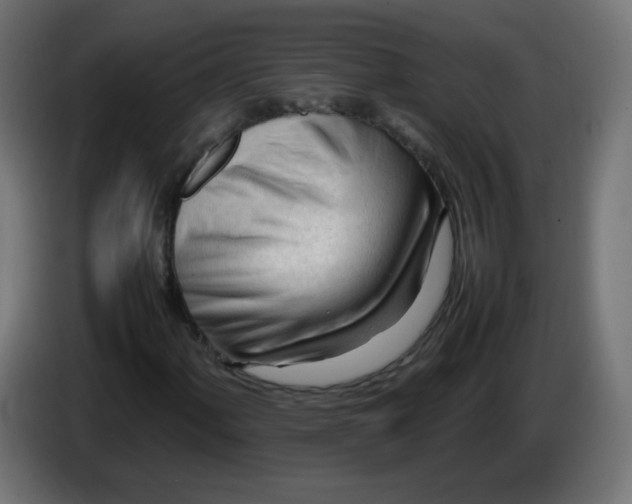 X0000086061060200704132013