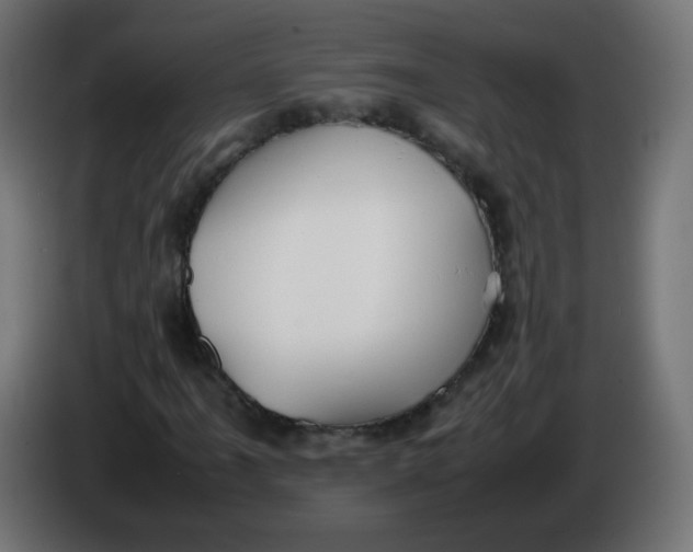 X0000086061061200704132013