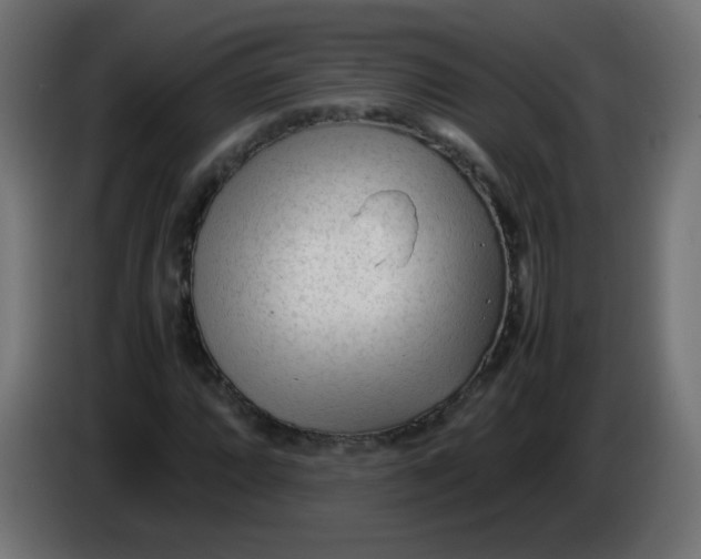 X0000086061064200704132013