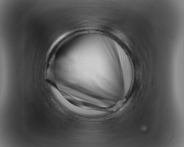 X0000086061069200704132013