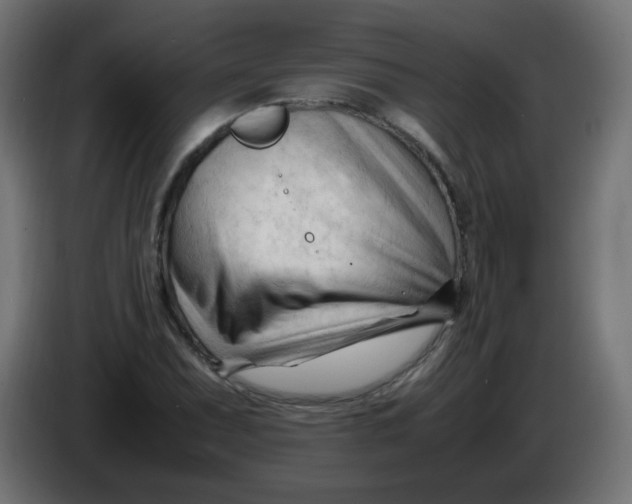 X0000086061071200704132013