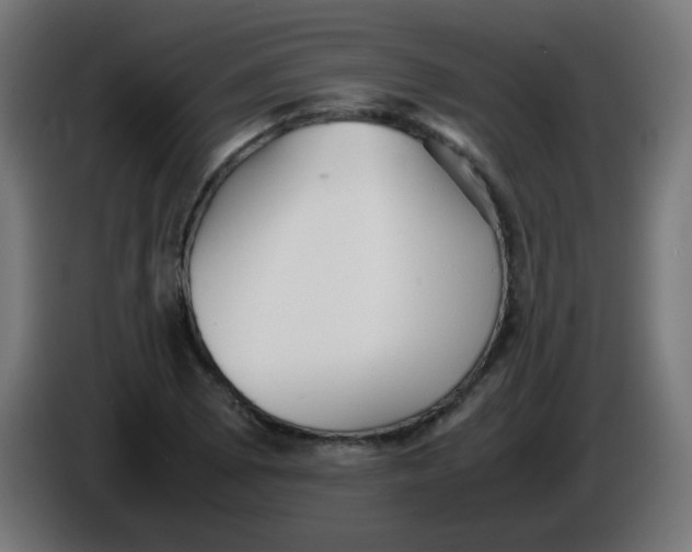 X0000086061073200704132013