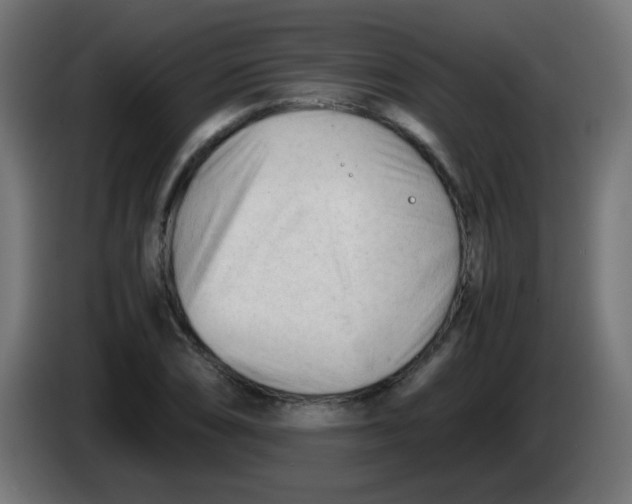 X0000086061074200704132013