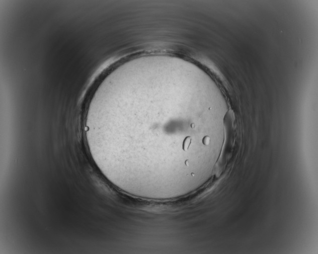 X0000086061075200704132013